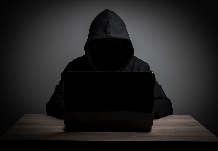 Cybercrime: Federal Computer Crimes and Internet Fraud