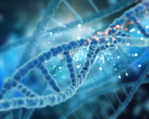 Understanding DNA Evidence In Criminal Cases | Manshoory Law