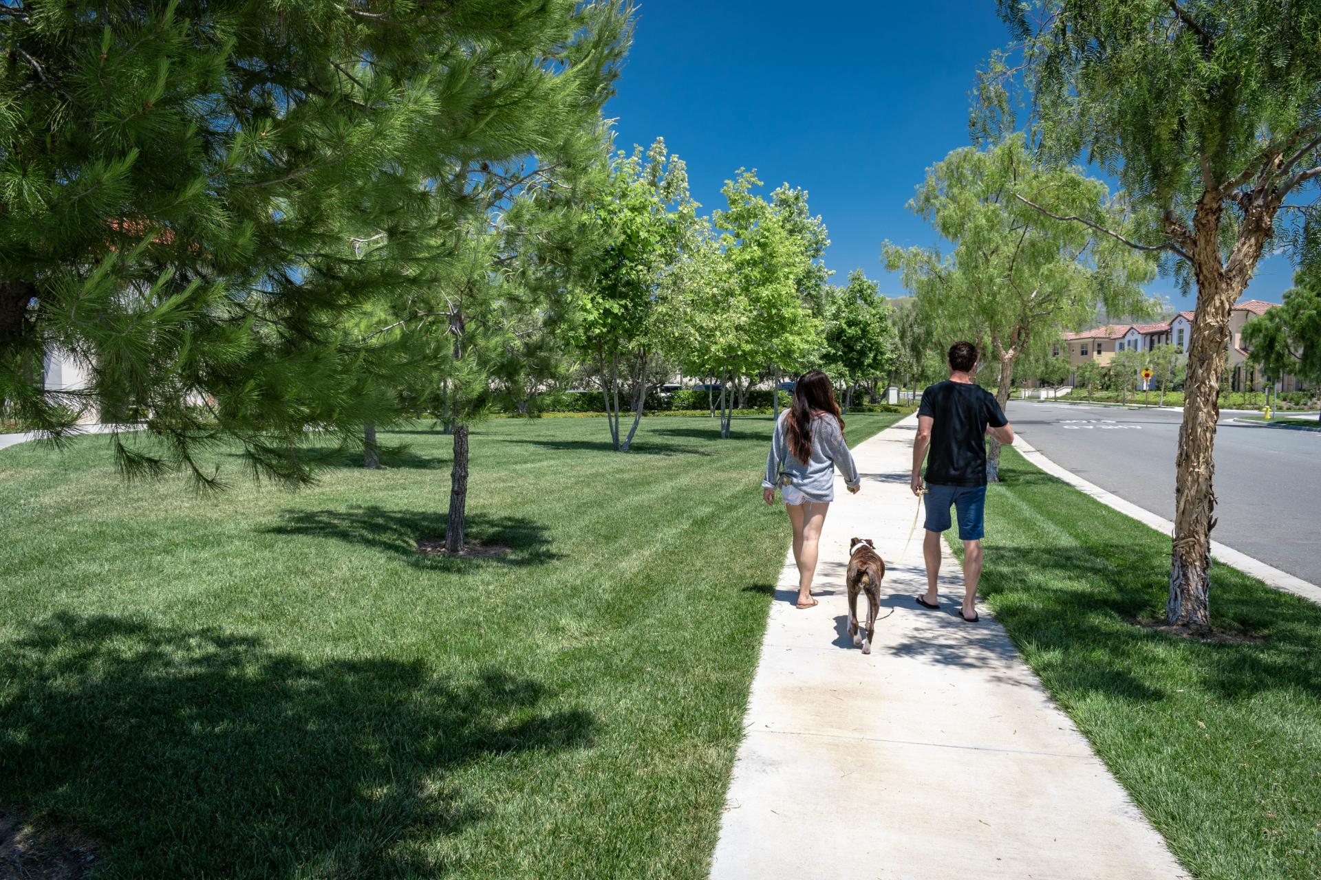 Common crimes  in Irvine