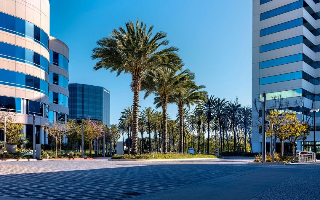 Want to Expunge Your Criminal Record in Irvine? Here’s What to Expect
