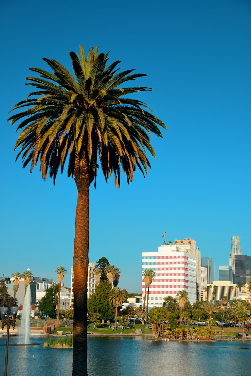 domestic violence lawyer Inglewood